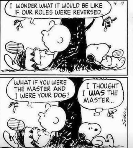 FB_IMG_1693826871531