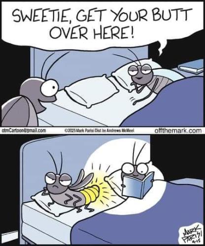 FB_IMG_1695305034728