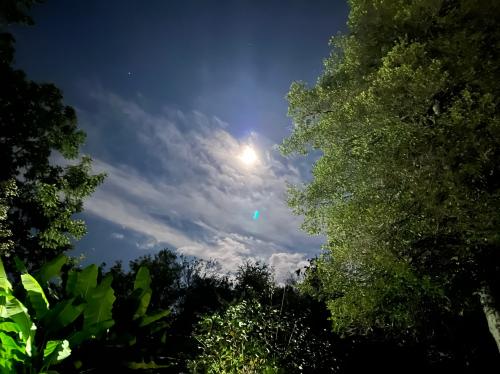 3A9332CC-6EC6-474A-A666-44A438C262E2