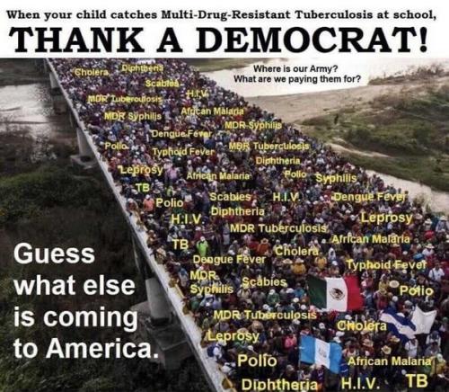 illegal immigration351