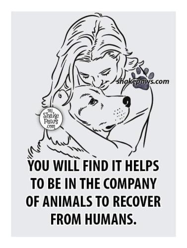 FB_IMG_1695667390009