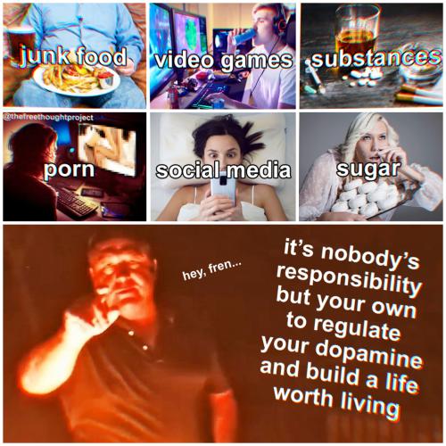 376056252_705117884988684_2623159336998021743_n