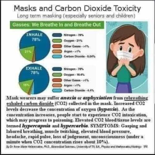 Masks and Carbon Dioxide