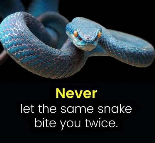 6910fa62-5d33-45c5-a614-282ae46cf486