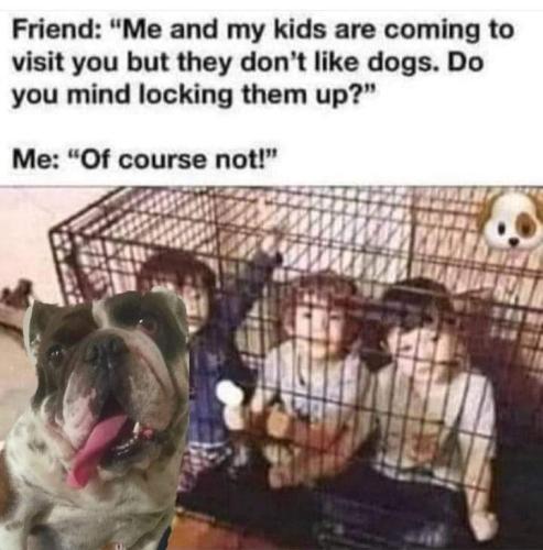 FB_IMG_1693528654434
