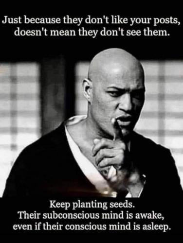 keep planting seeds