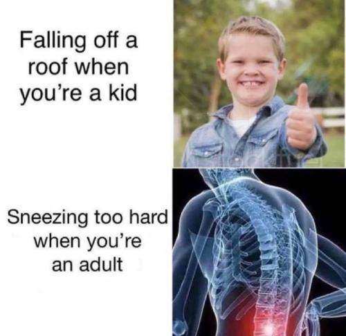 FB_IMG_1694727850626