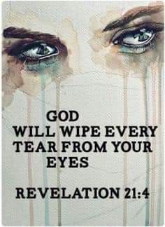 FB_IMG_1694382450460
