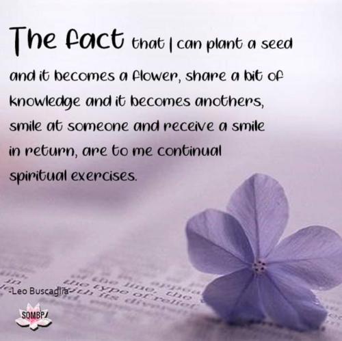 FB_IMG_1693604235428