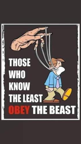 FB_IMG_1694650291320