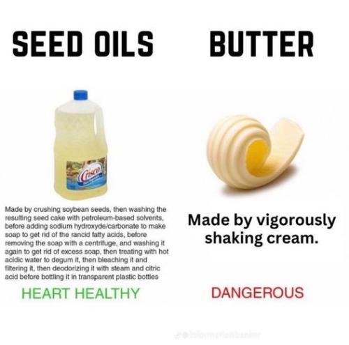 seed oils vs butter