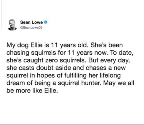 Screenshot_20230921-094326_MeWe