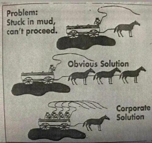 political solutions