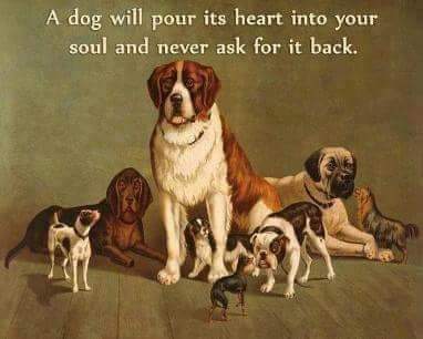 FB_IMG_1694290500182