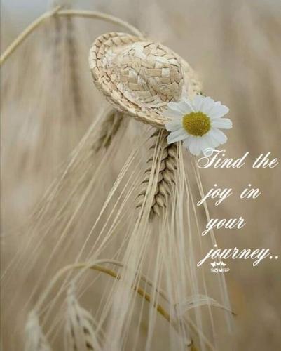 FB_IMG_1693603999559