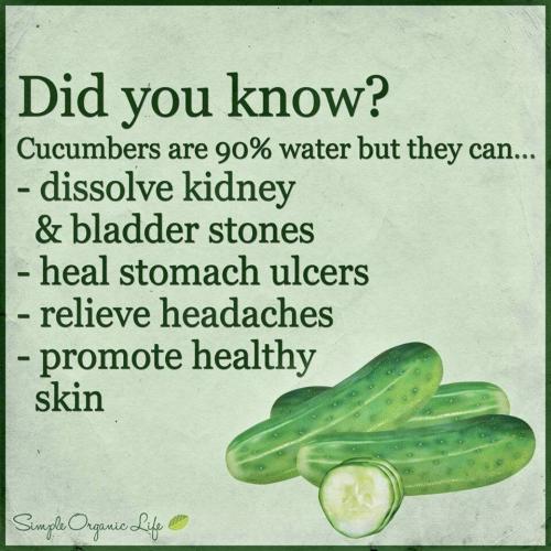 Cucumber benefits