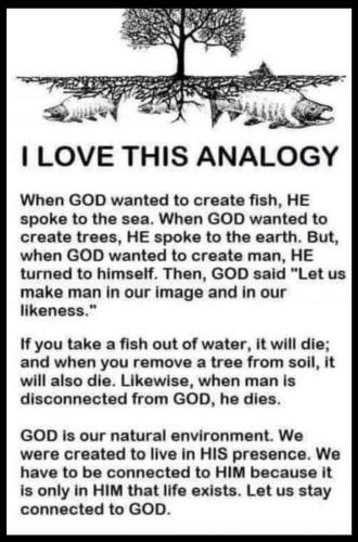 Screenshot_20230919_151514_Facebook