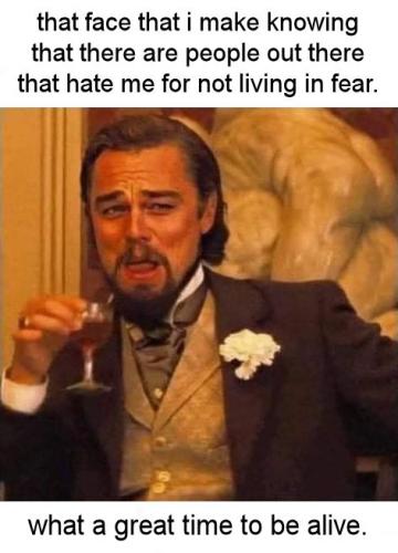 the face that i make knowing that there are people out there that hate me for not living in fear