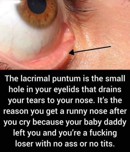 FB_IMG_1695495166414