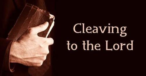 7bfe05aa-96dd-47e4-b232-0183696cae62