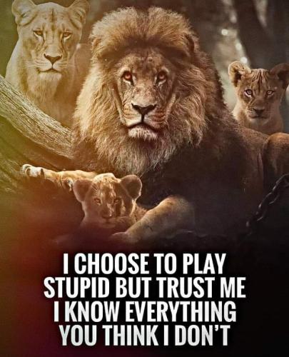 FB_IMG_1695791341178