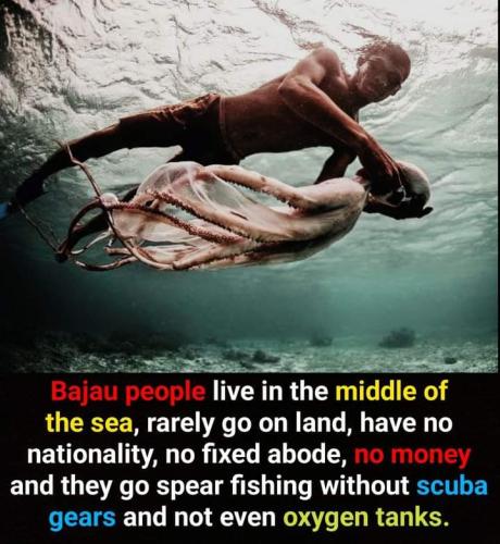 FB_IMG_1694562324952