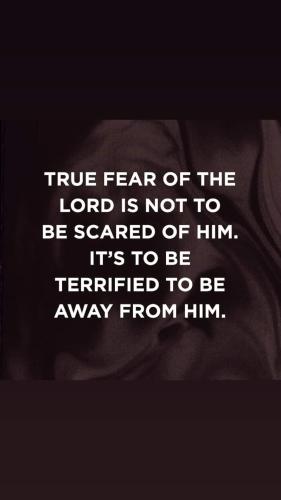 FB_IMG_1695693592358