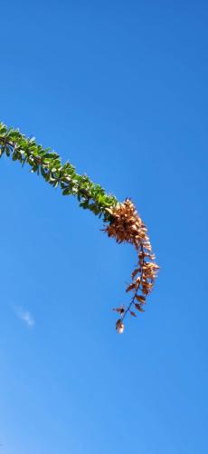 11:46:39 GMT-0500 (CDT)