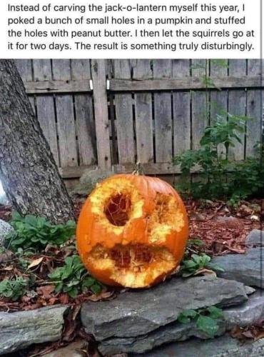 pumpkin