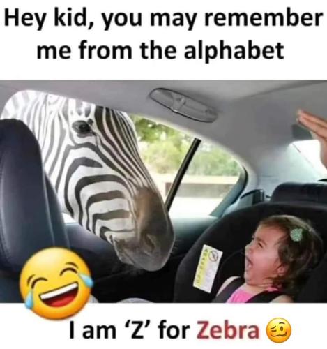 FB_IMG_1693868156877
