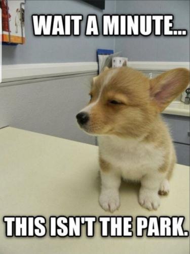 Screenshot_20230922-181812_MeWe