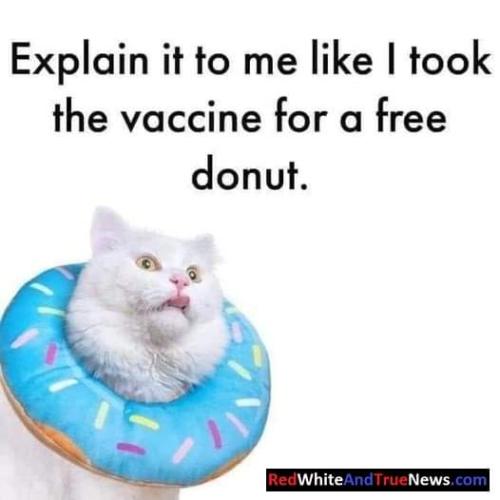 FB_IMG_1694000467624