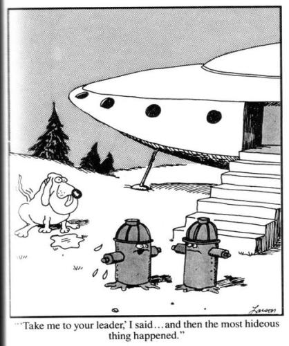 241106457_10158461676617616_1642301053437328038_n