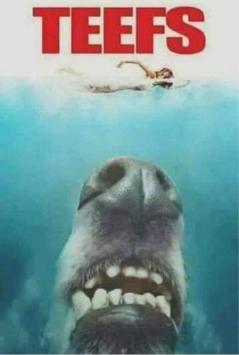 FB_IMG_1695875076221