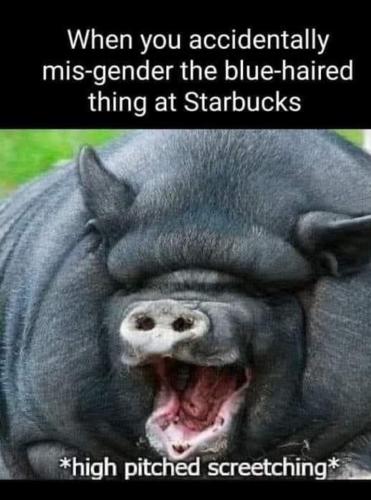 FB_IMG_1694968192501