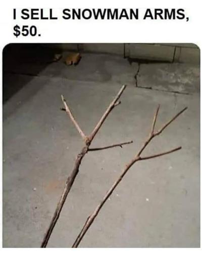 FB_IMG_1695364479208