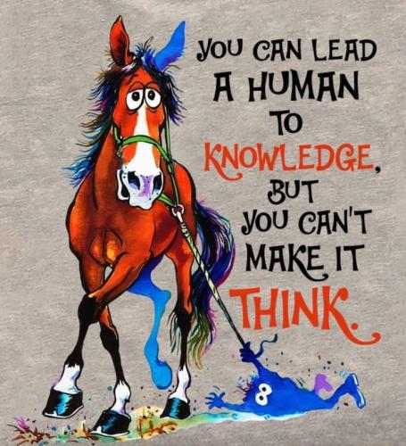 Screenshot_20230924_194559_Facebook