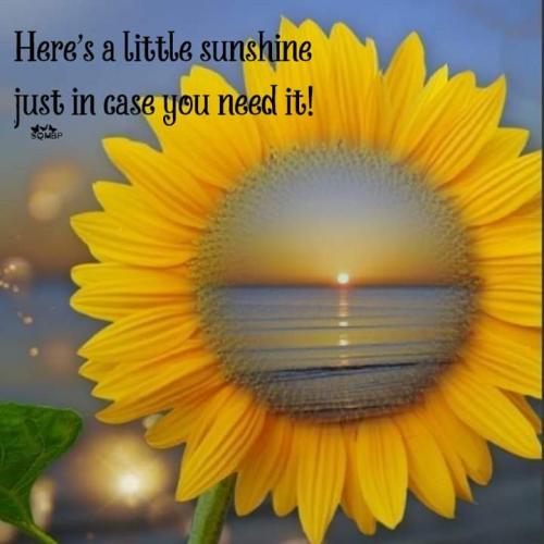 FB_IMG_1695170047648