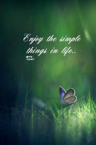 FB_IMG_1695378645138
