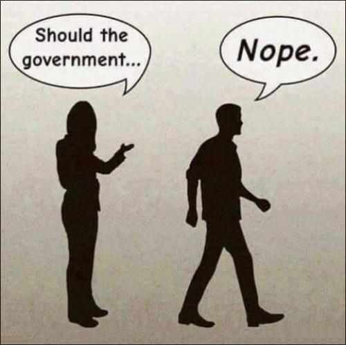 should the government
