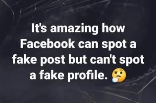 FB_IMG_1695436099300
