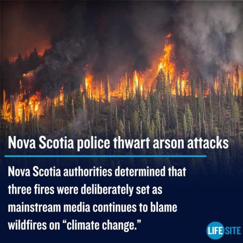 thwart arson attacts