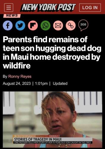 IMG_20230901_120028_326