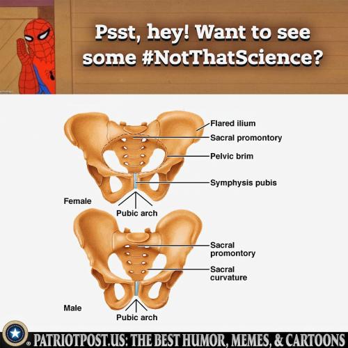 not that science