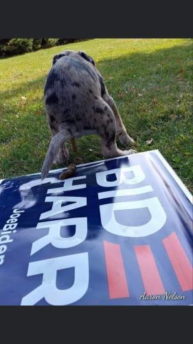 FB_IMG_1693923520187