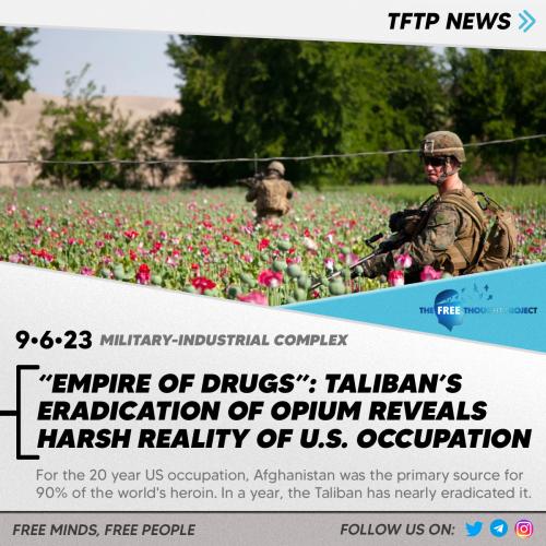 45312345345354345555