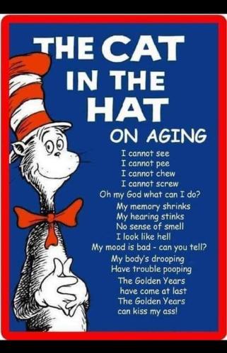 FB_IMG_1695386613339