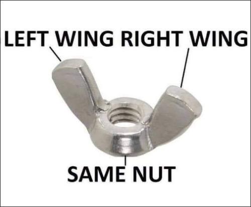 left wing right wing