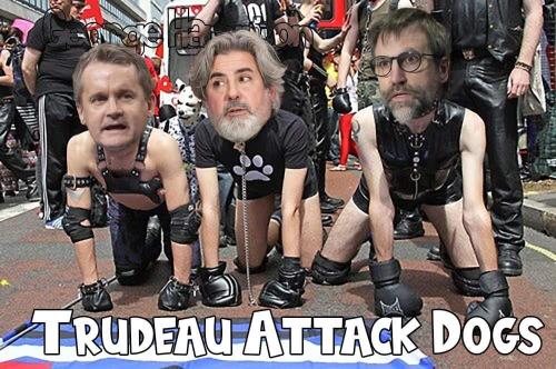 truideau attack dogs