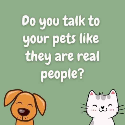 FB_IMG_1693922723087